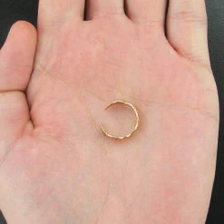 Thin Solid 14K Yellow Gold Toe Ring Bamboo Motif 5 Thin Solid 14K Yellow Gold Toe Ring Bamboo Motif -Urban Jewels Shop gold body jewelry 14k solid gold toe ring bamboo motif p 5976bod